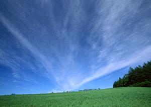 静岡県浜松市に新設された家族葬のタクセル豊町：安心と低価格を両立した家族葬の専門斎場