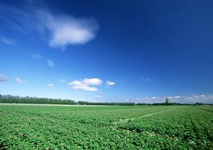 浜松市中央区に位置する富士葬祭高林：家族葬・一般葬を安心サポートする総合葬儀場
