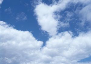 404エラーと403 Forbiddenの解説：ウェブサイトの安全性とトラブルシューティングのポイント