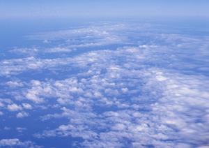 【栃木県宇都宮市】さがみ典礼 元今泉：宗派を問わず選べる多彩な葬儀プランと充実した施設で安心の葬儀サービス