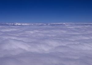 2025年最新版：犬の火葬を円滑に進めるための完全ガイド