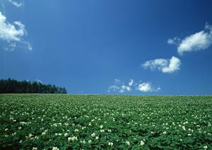 静岡市駿河区に新たに登場!家族葬専門の斎場「家族葬のタクセル大和」の魅力と詳細情報