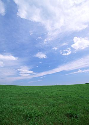 静岡市清水区の家族葬専門斎場|家族葬のタクセル東大曲の魅力と特徴