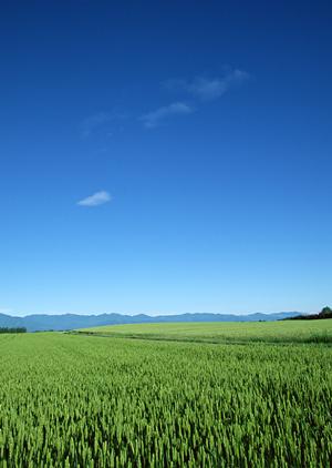静岡県富士市にある信頼の葬儀場【富士葬祭 富士鷹岡】の特徴とサービス詳細